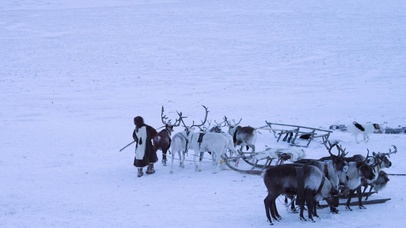 4K 高清  北极人坐雪橇兜风