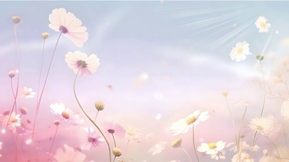 雏菊