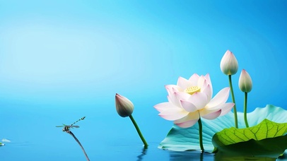 小荷才露尖尖角