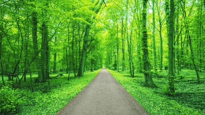 第一眼就喜欢的人真的会喜欢很久