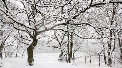 4K 唯美治愈【雪景】