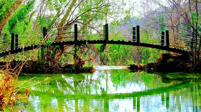 治愈小桥流水 4K