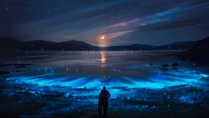 夜晚景色