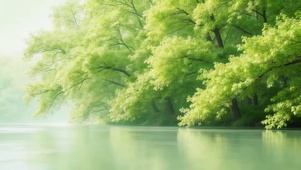 河流边的绿荫大树