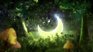 梦幻丛林