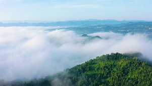 云雾青山