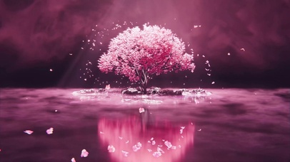 花瓣飞舞