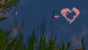 4K夜空