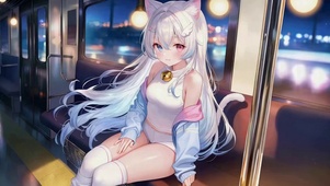 夜行列车异瞳猫耳美少女