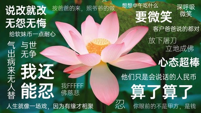 荷花不生气