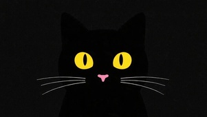 小黑猫