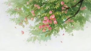 栾树花