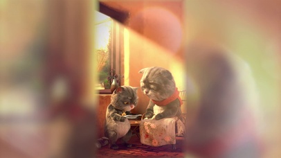 班布猫-常回家看看