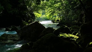 护眼山涧溪流