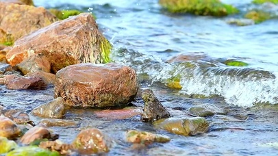 浪里个浪