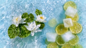 治愈夏日荷花柠檬