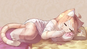 小猫咪