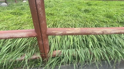 旷野海边 自由的风