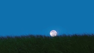 草地月亮蓝色版本