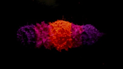 4K 高清 超慢速运动彩色粉末