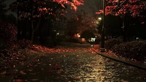 秋雨夜