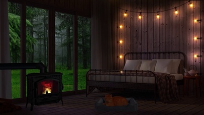 舒适雨夜卧室大橘