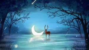 4K唯美月夜