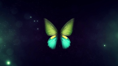 星空蝴蝶