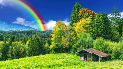 雨后森林，迷人彩虹