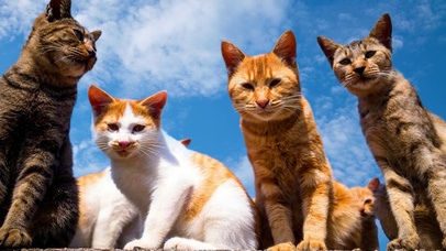 我的眼里只有你