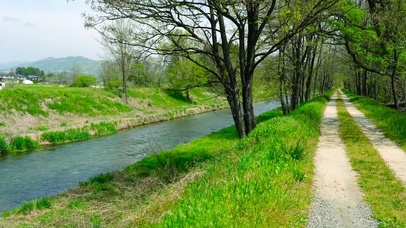 乡村溪边树林小路