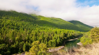 小河流旁美丽风景