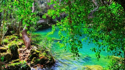 治愈护眼池塘4K