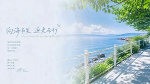 向海而生逐光而行 海滨风景