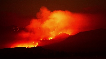 4K 高清 夜晚的森林大火