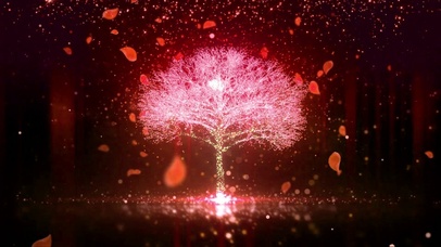 红色爱情树花瓣随处飘