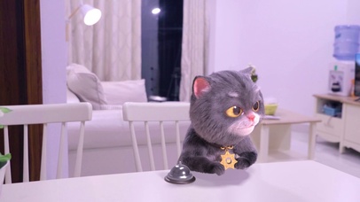 斑布猫-魔法小鱼干