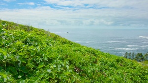 海岸