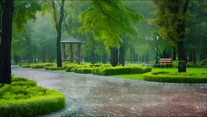 雨天公园