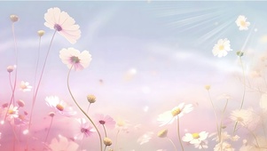 雏菊
