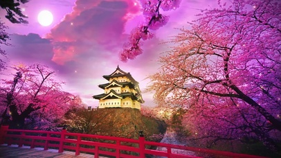 日本樱花