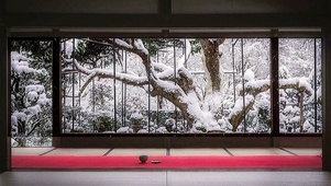 窗外飘雪