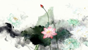 水墨画荷叶