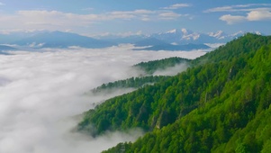 雪山云海