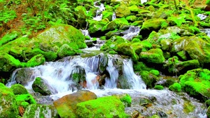 4K清泉石上流水
