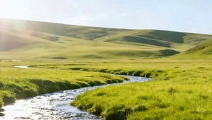 护眼树木河流带鱼屏