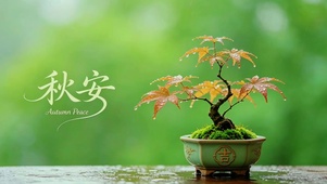 治愈秋安