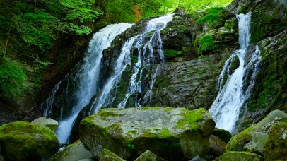 护眼绿林石壁瀑布