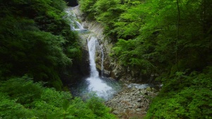4K绿林山涧溪流