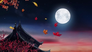 白月光高清壁纸